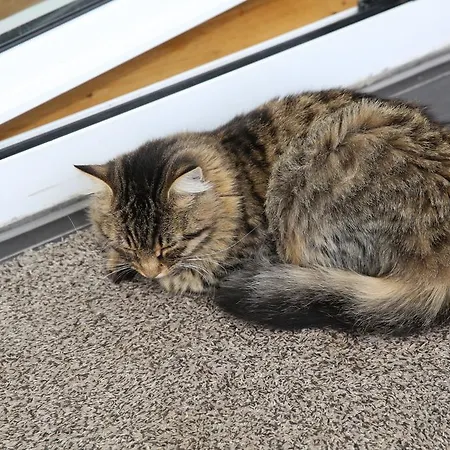 Gabrijel Apartamento *